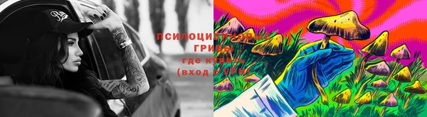 прущий лед Аркадак