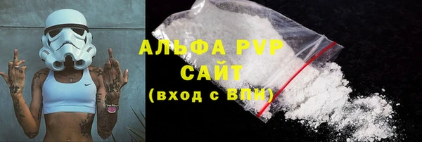 шишки Гусев