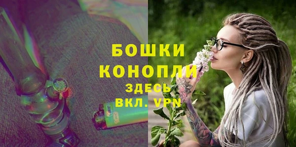 винт Гусь-Хрустальный