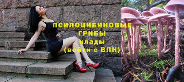 дживик Арсеньев
