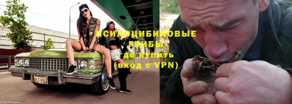 дживик Арсеньев