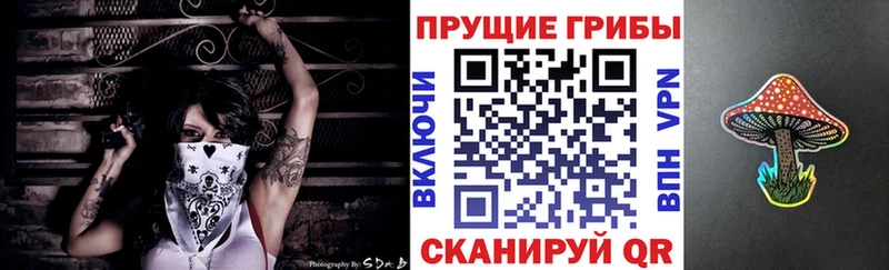 где найти наркотики  Новоуральск  Галлюциногенные грибы Cubensis 
