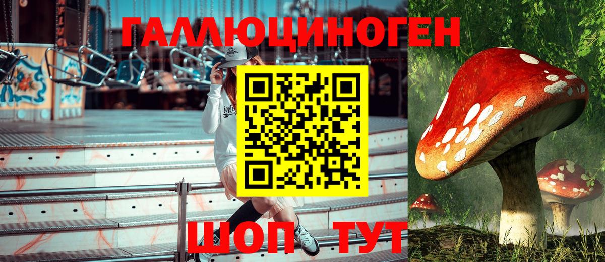 Псилоцибиновые грибы Psilocybe Новоуральск